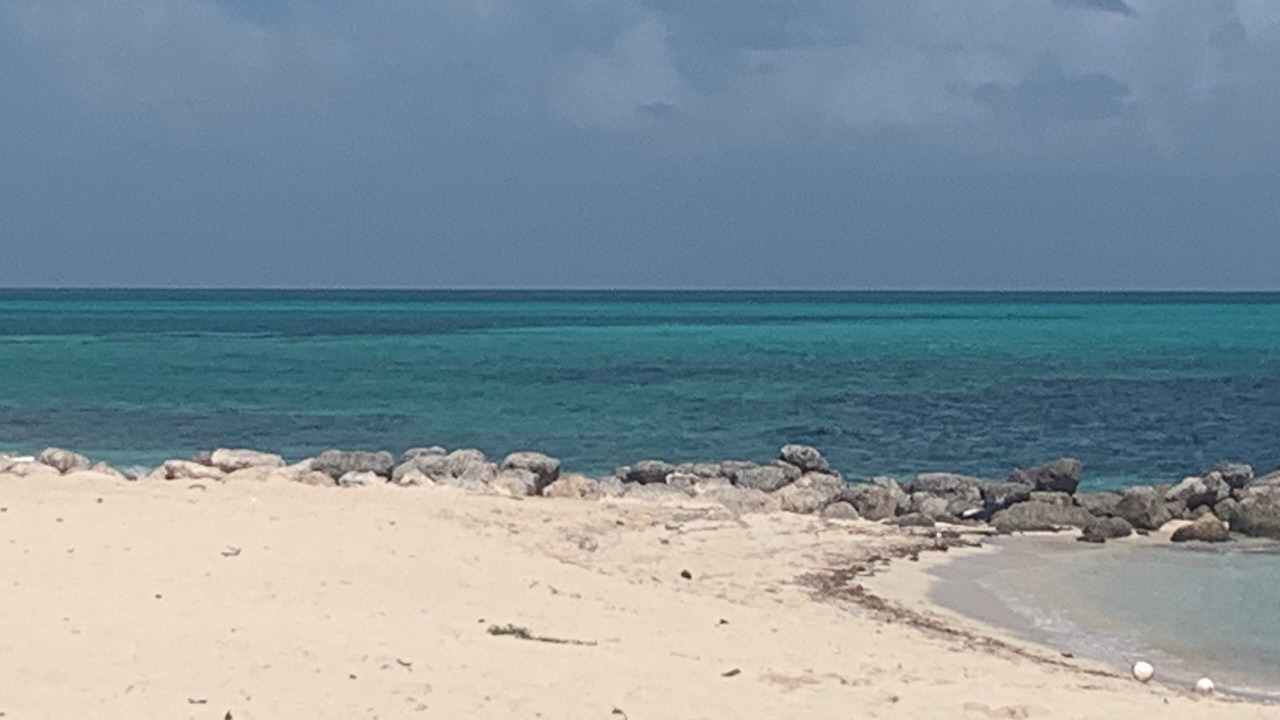 Photo of Others in Nassau