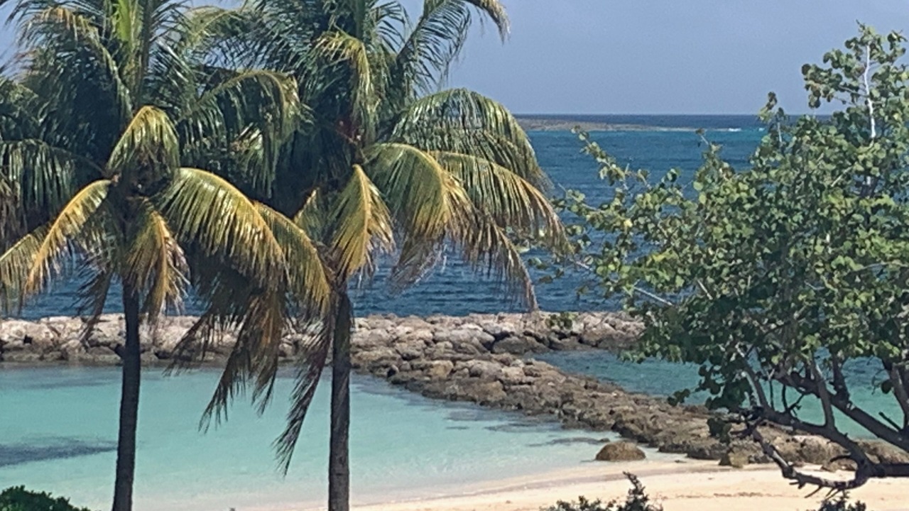 Photo of Others in Nassau