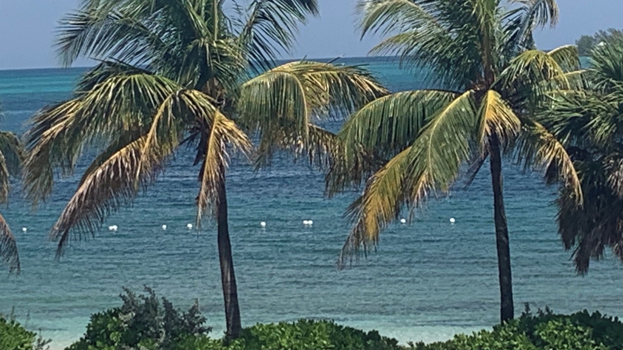 Photo of Others in Nassau