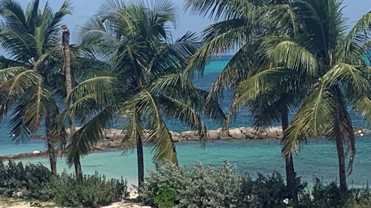 Photo of Others in Nassau