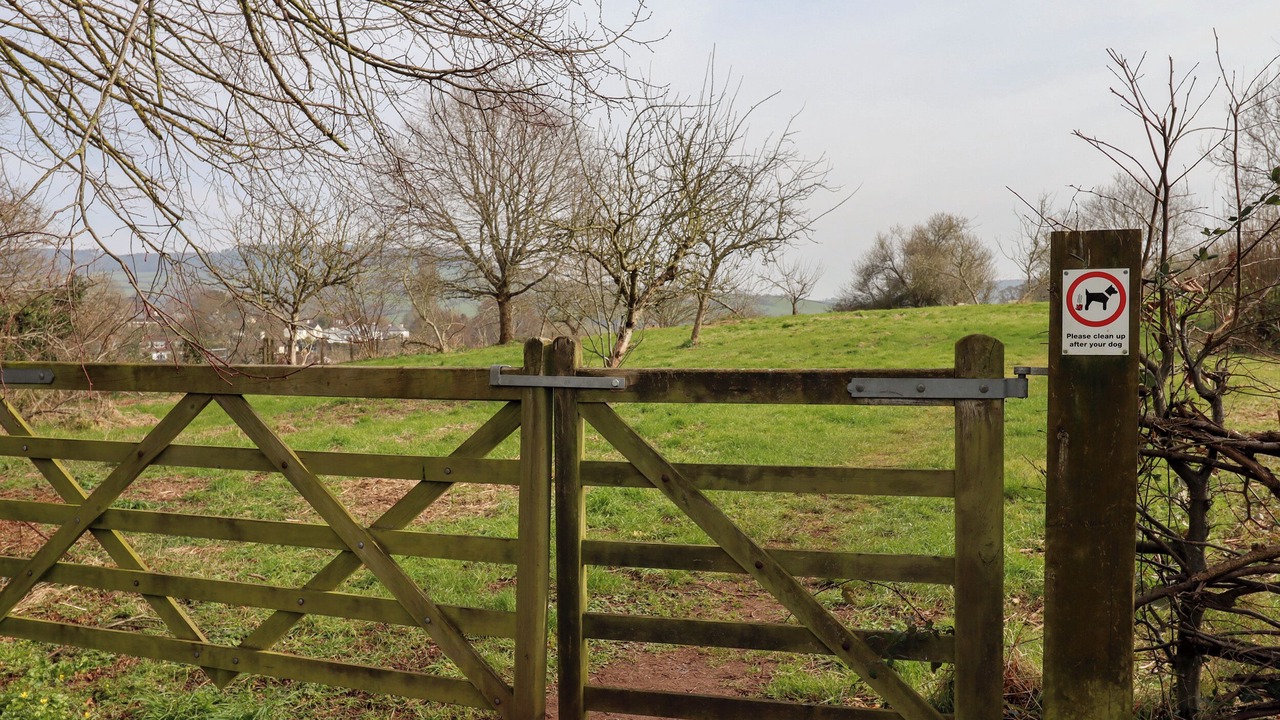 Photo of Outdoor in Bicton