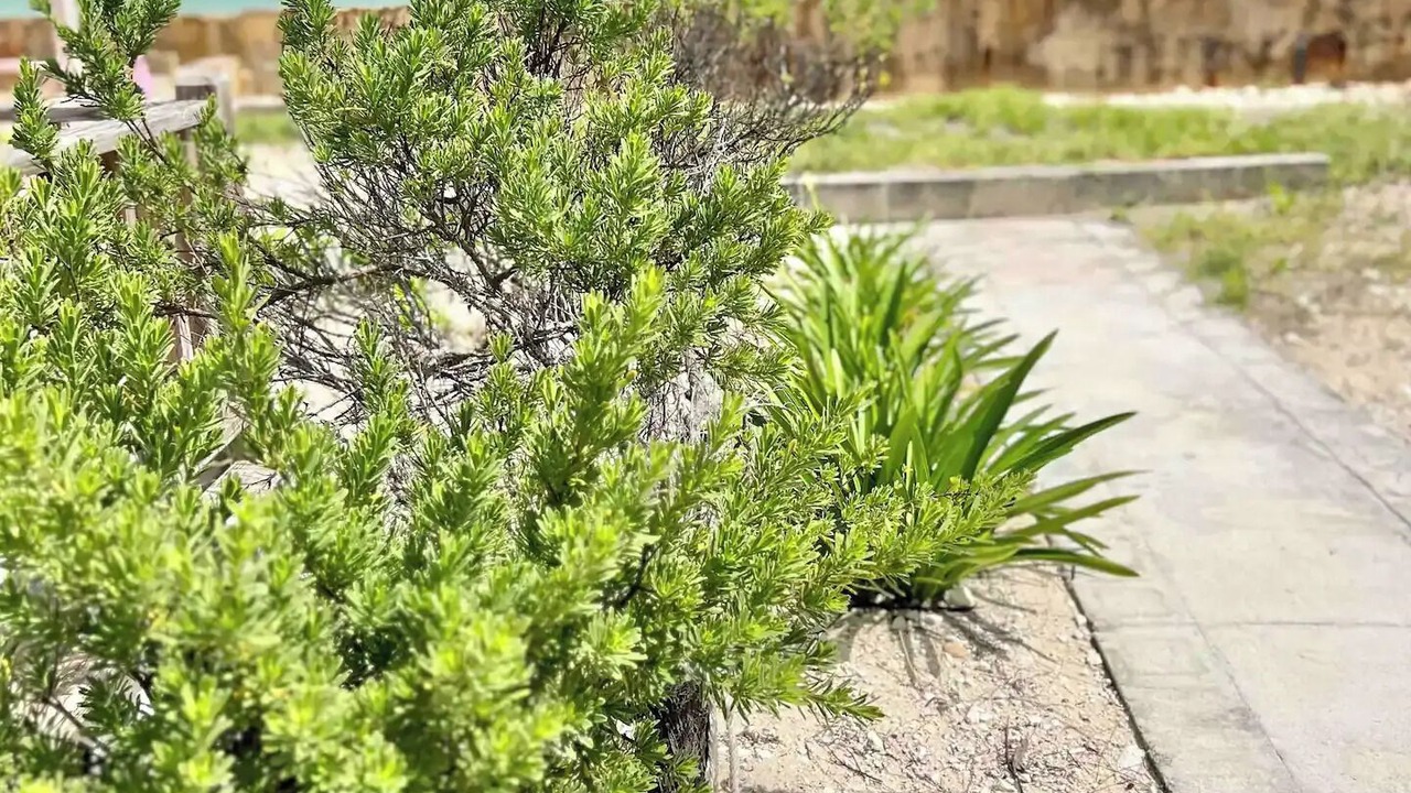 Photo of Outdoor in Andros Town