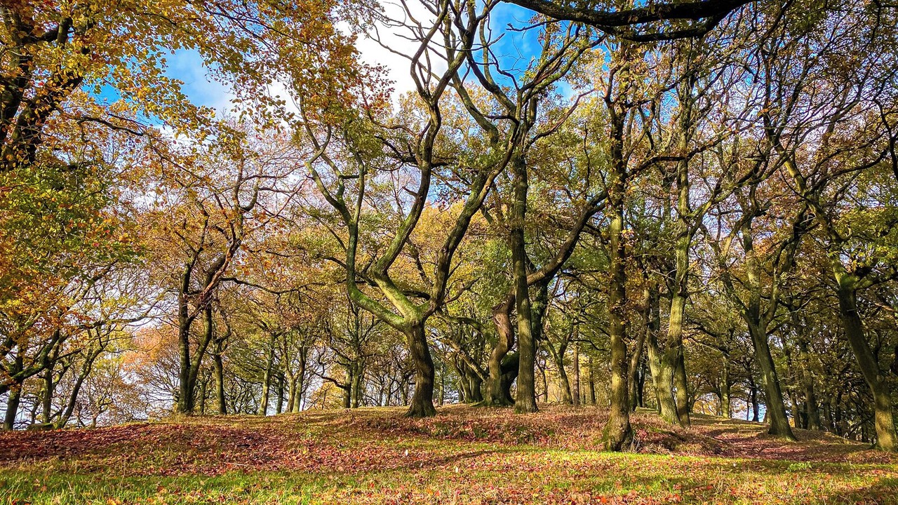 Photo of Outdoor in Farley
