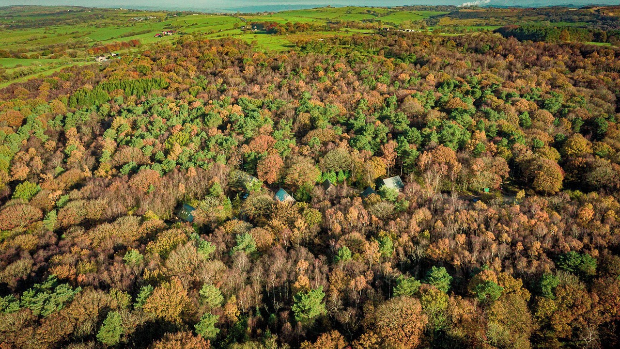 Photo of Outdoor in Farley