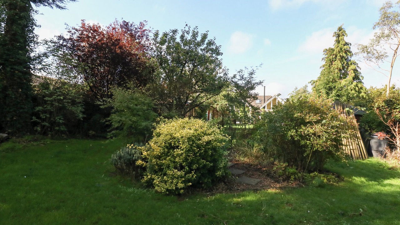 Photo of Outdoor in New Forest District