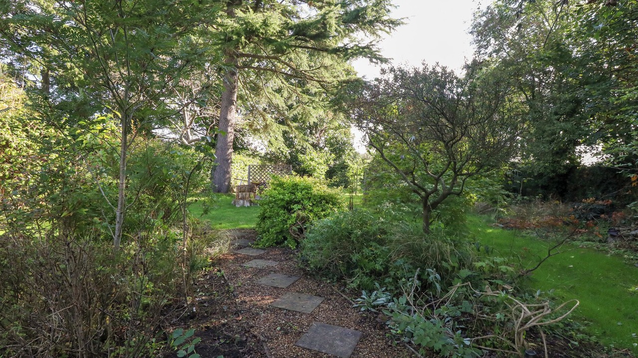 Photo of Outdoor in New Forest District