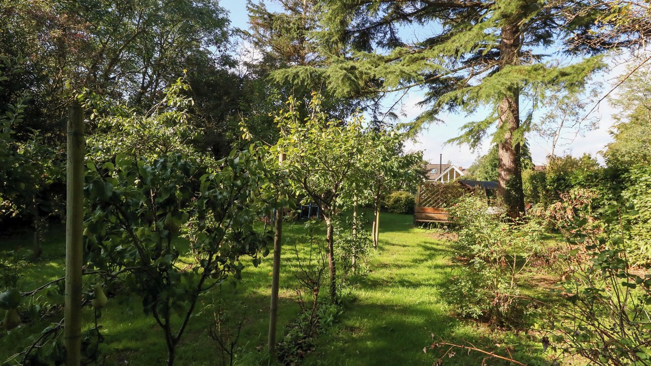 Photo of Outdoor in New Forest District