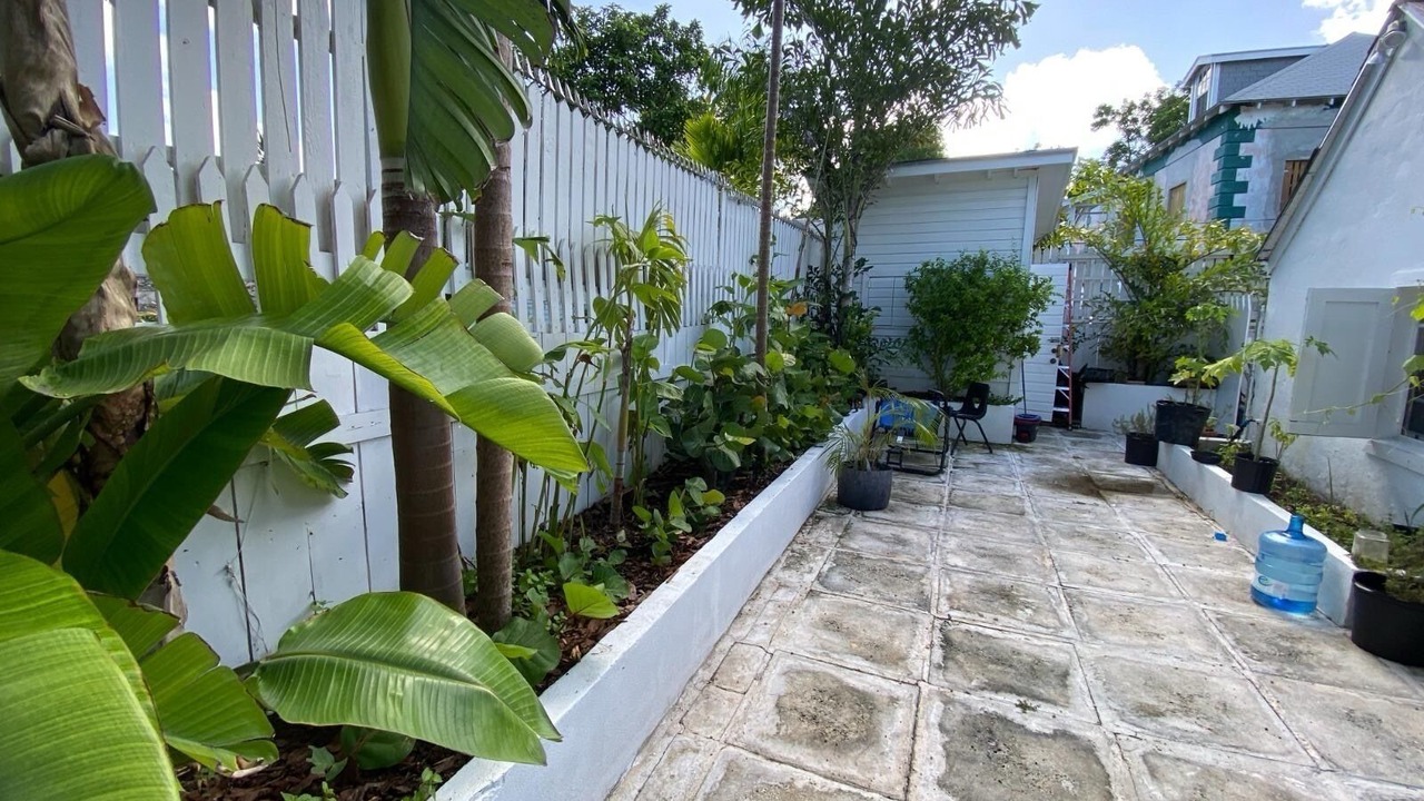 Photo of Others in Downtown Nassau