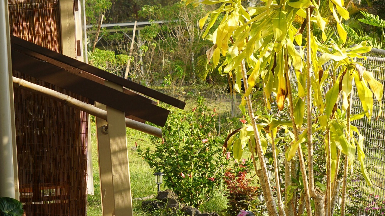 Photo of Outdoor in Opihihale