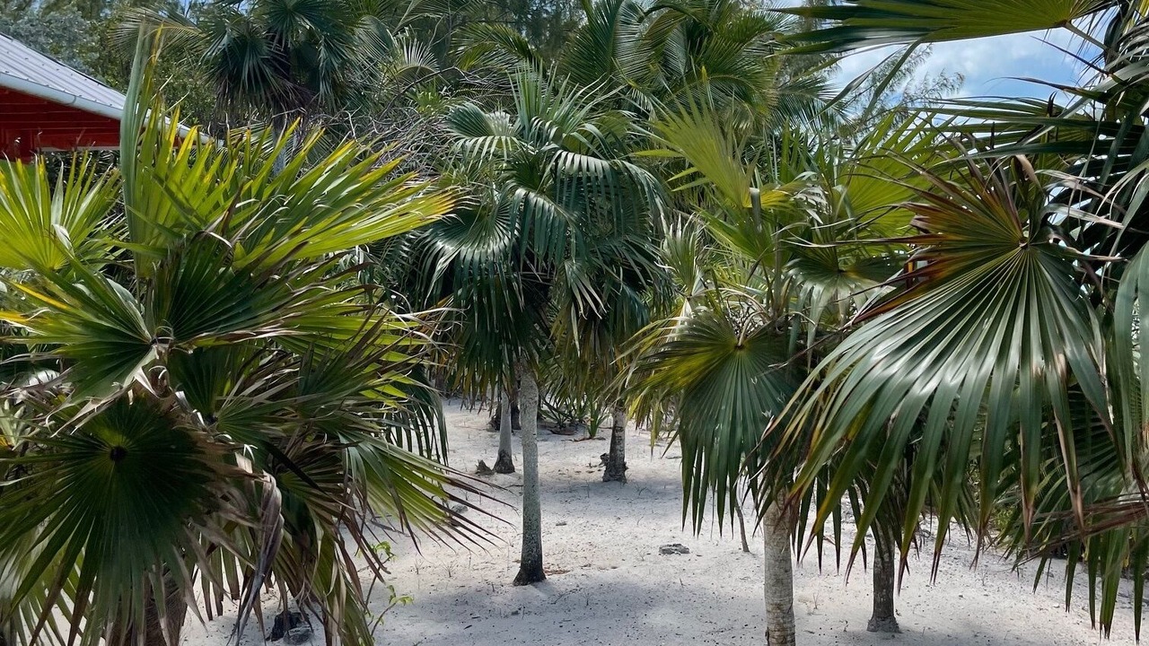 Photo of Outdoor in Orange Creek