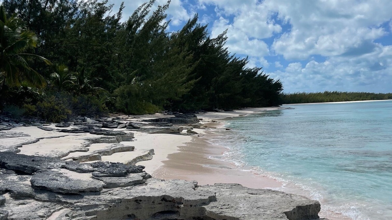 Photo of Others in Orange Creek