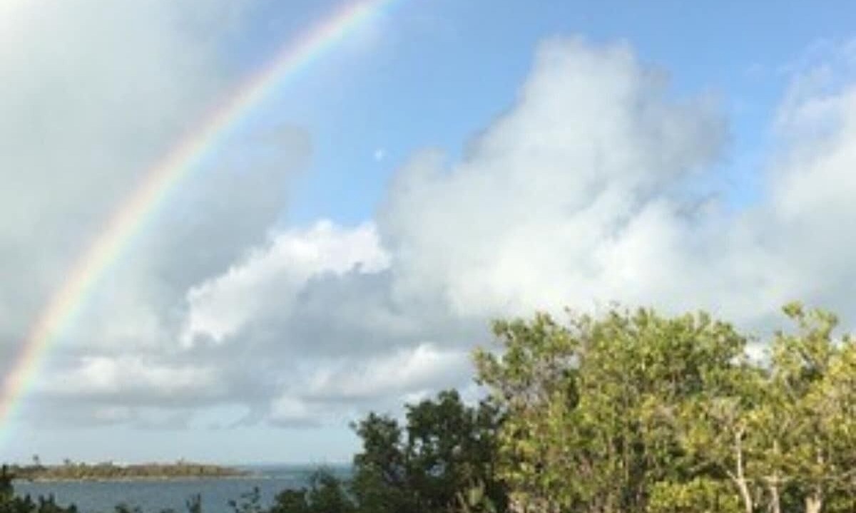 Photo of Others in Man O War Cay