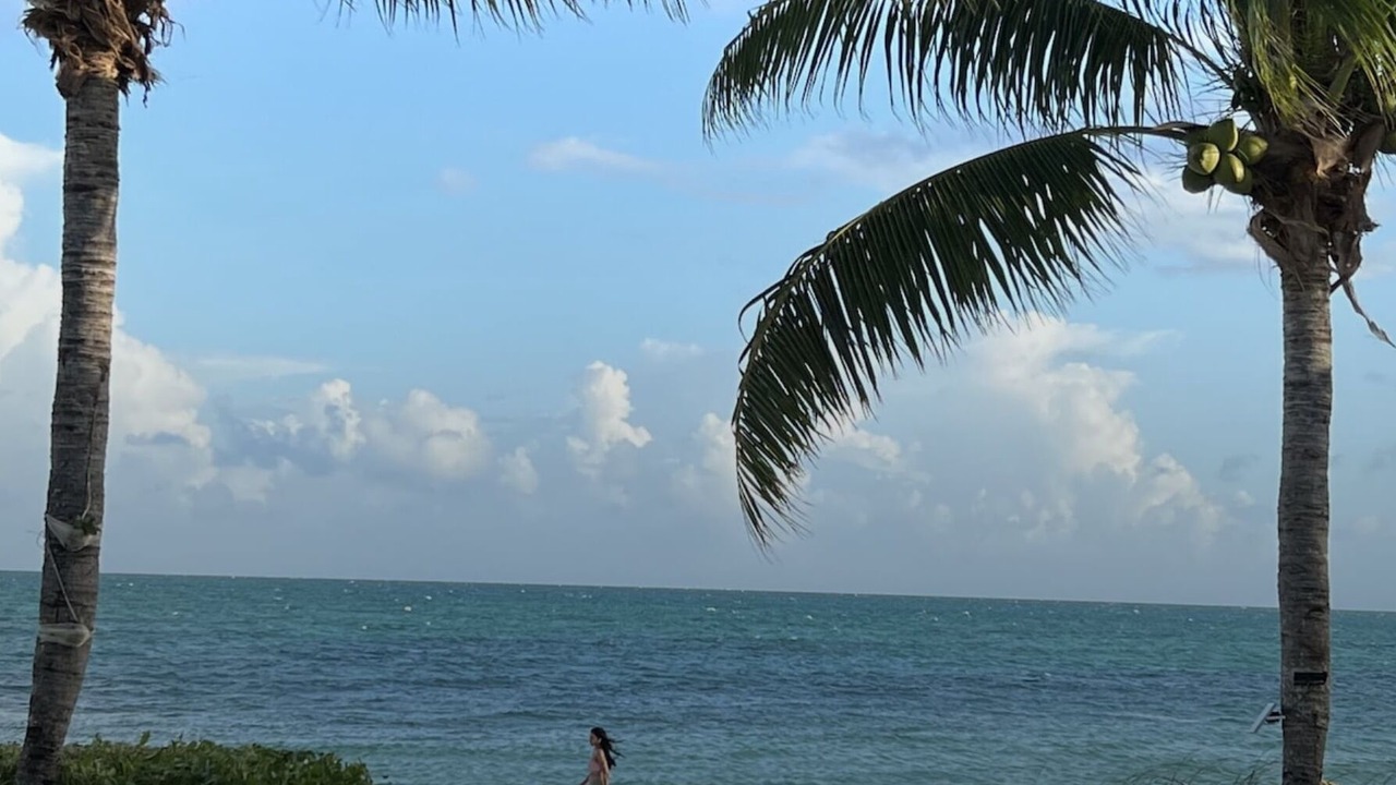 Photo of Others in Palm Cay