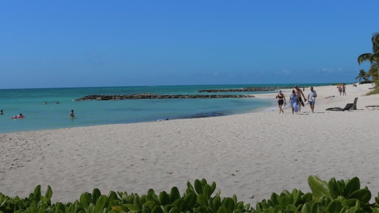 Photo of Others in Palm Cay