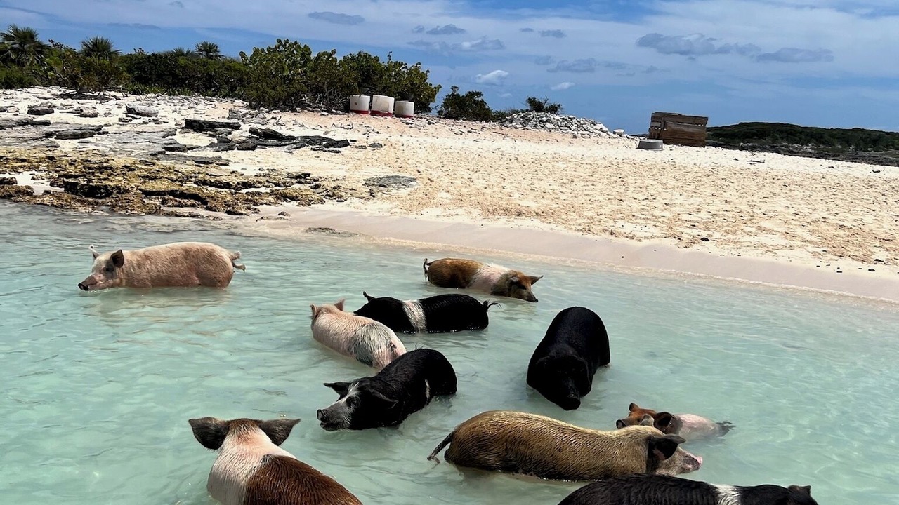 Photo of Others in Great Exuma