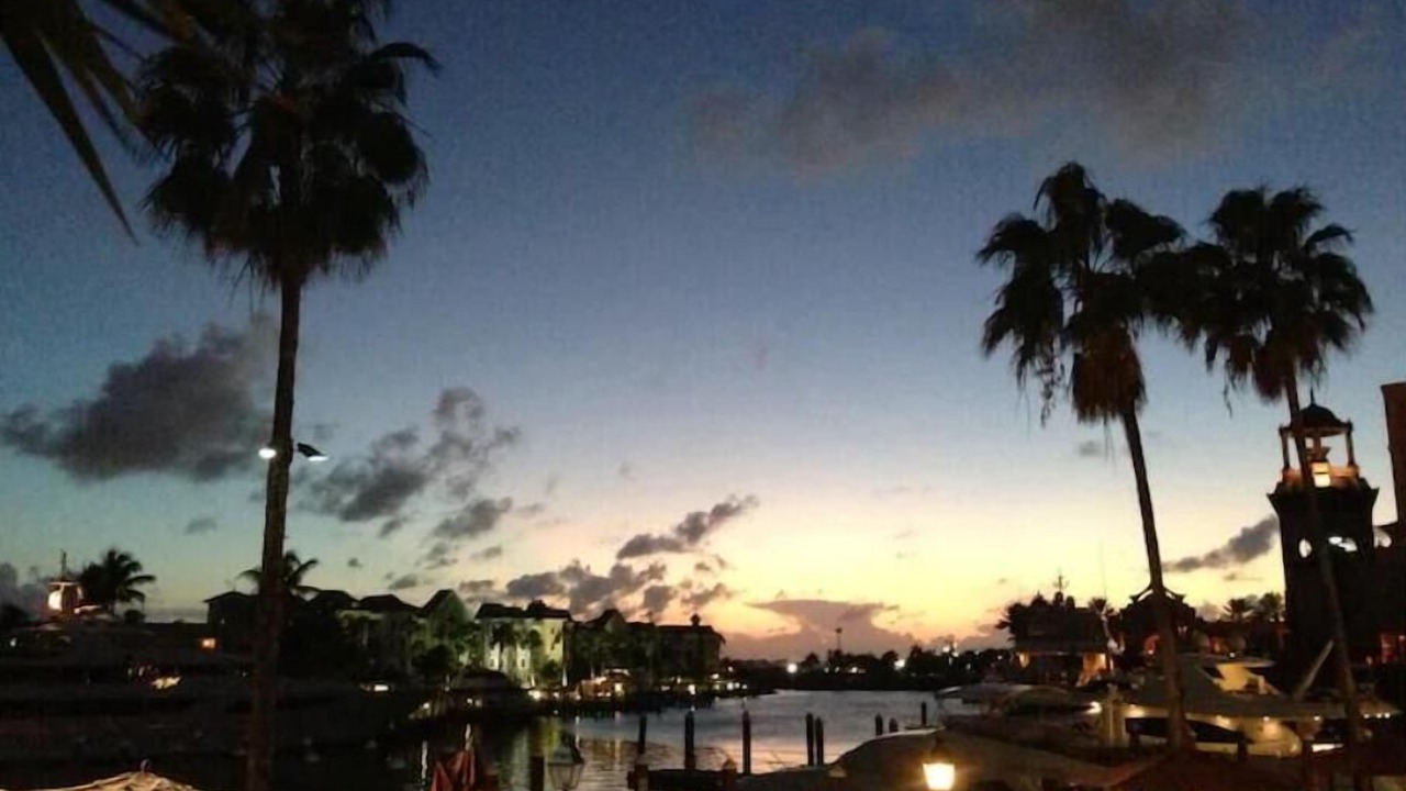 Photo of Others in Paradise Island