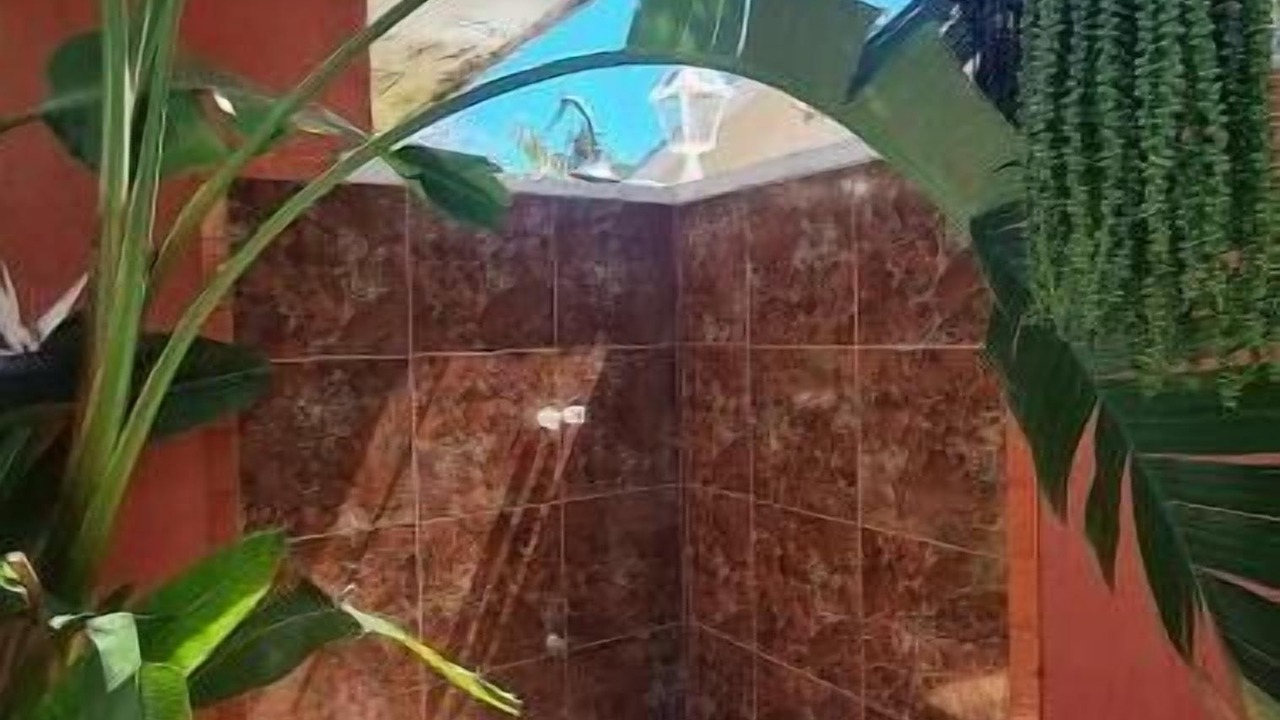 Photo of Outdoor in Paradise Island