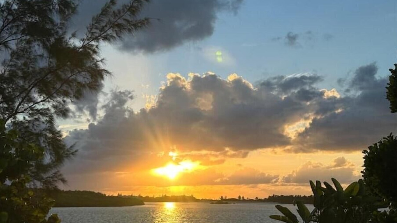 Photo of Outdoor in Savannah Sound