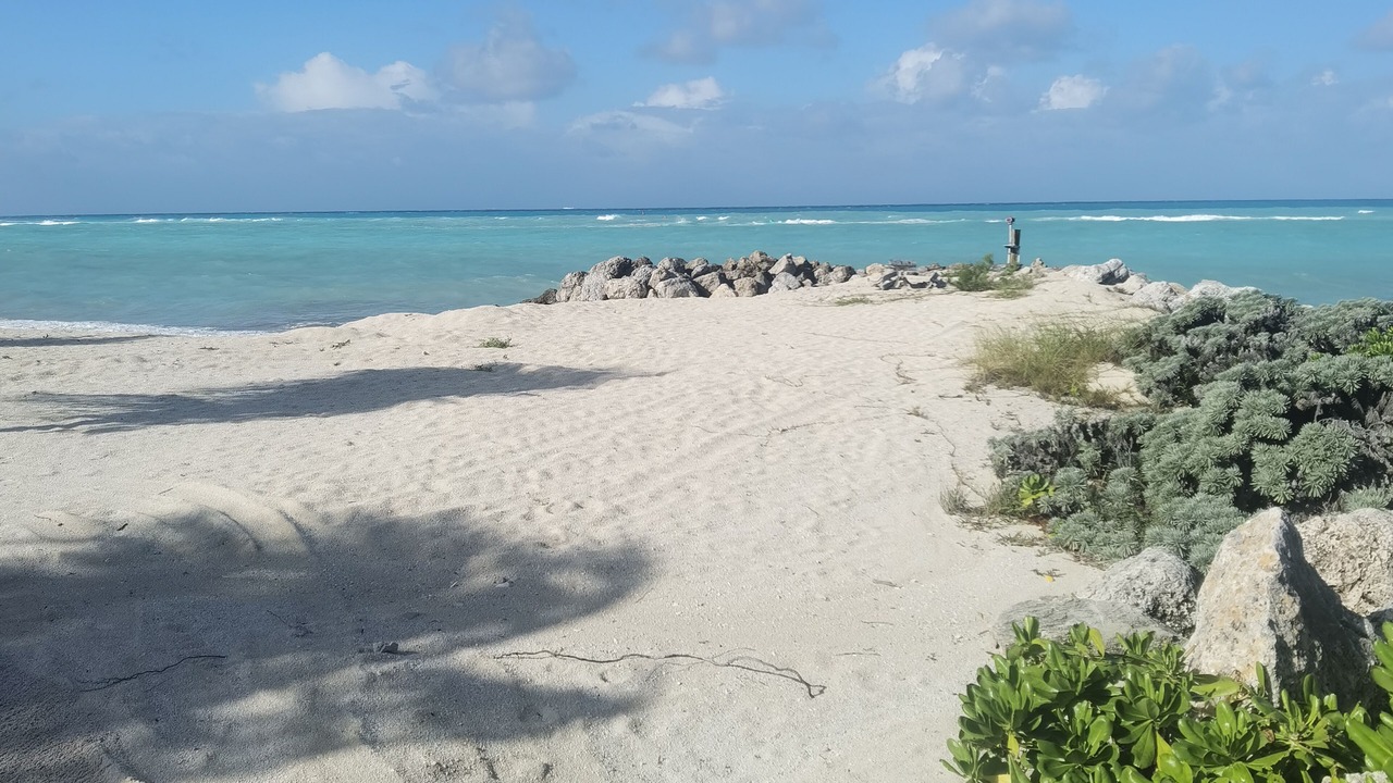 Photo of Others in South Bimini
