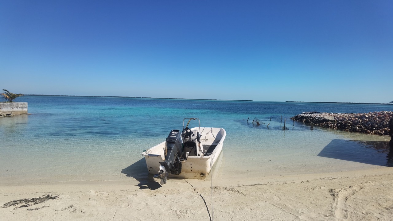 Photo of Others in South Bimini