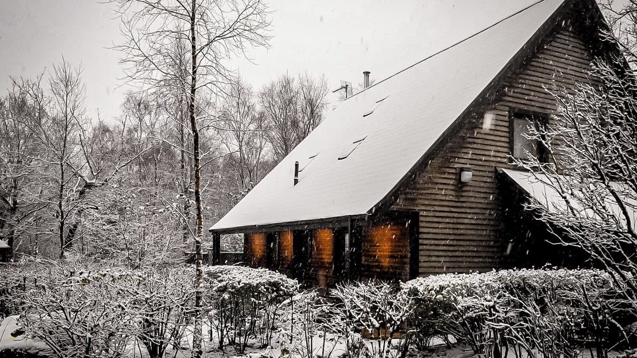 Photo of Outdoor in Farley