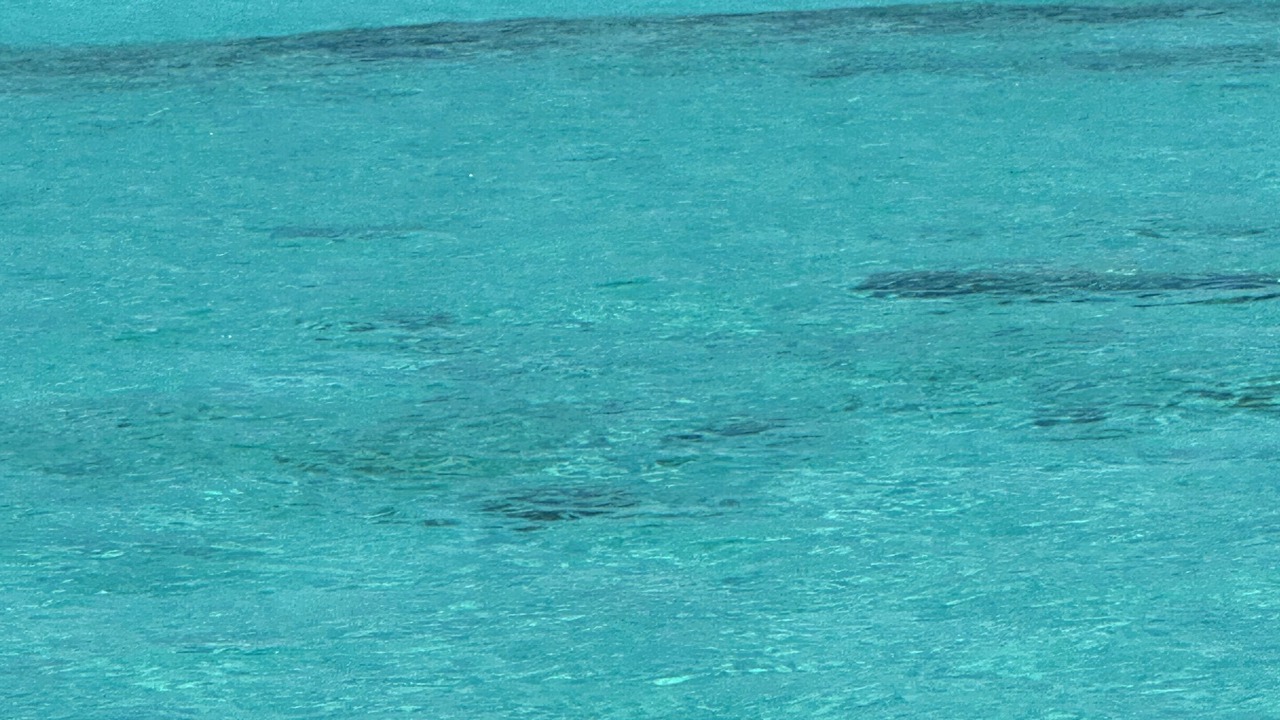 Photo of Others in Coral Harbour