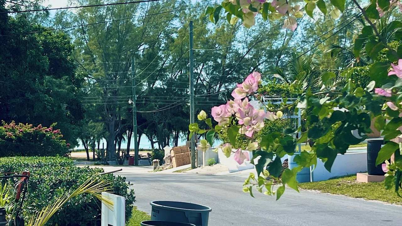 Photo of Others in Spanish Wells
