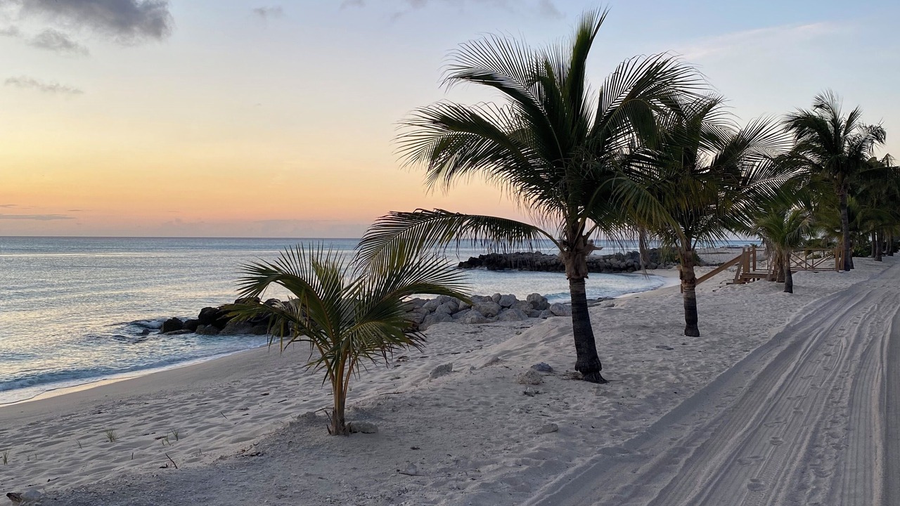 Photo of Others in South Bimini