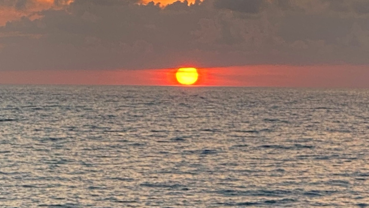Photo of Others in South Bimini