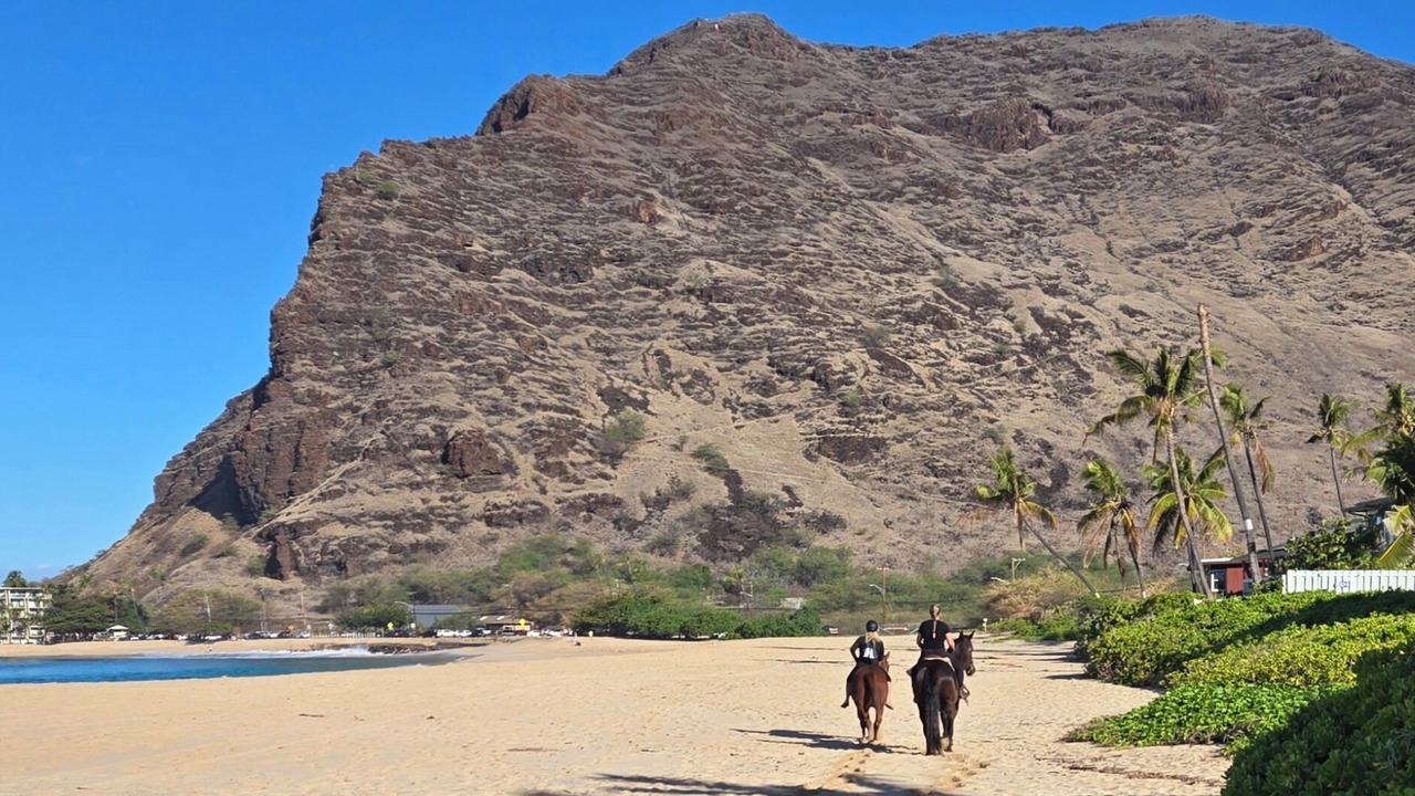 Photo of Others in Makaha
