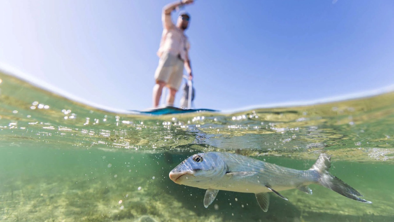 Photo of Others in Bahama Palm Shores