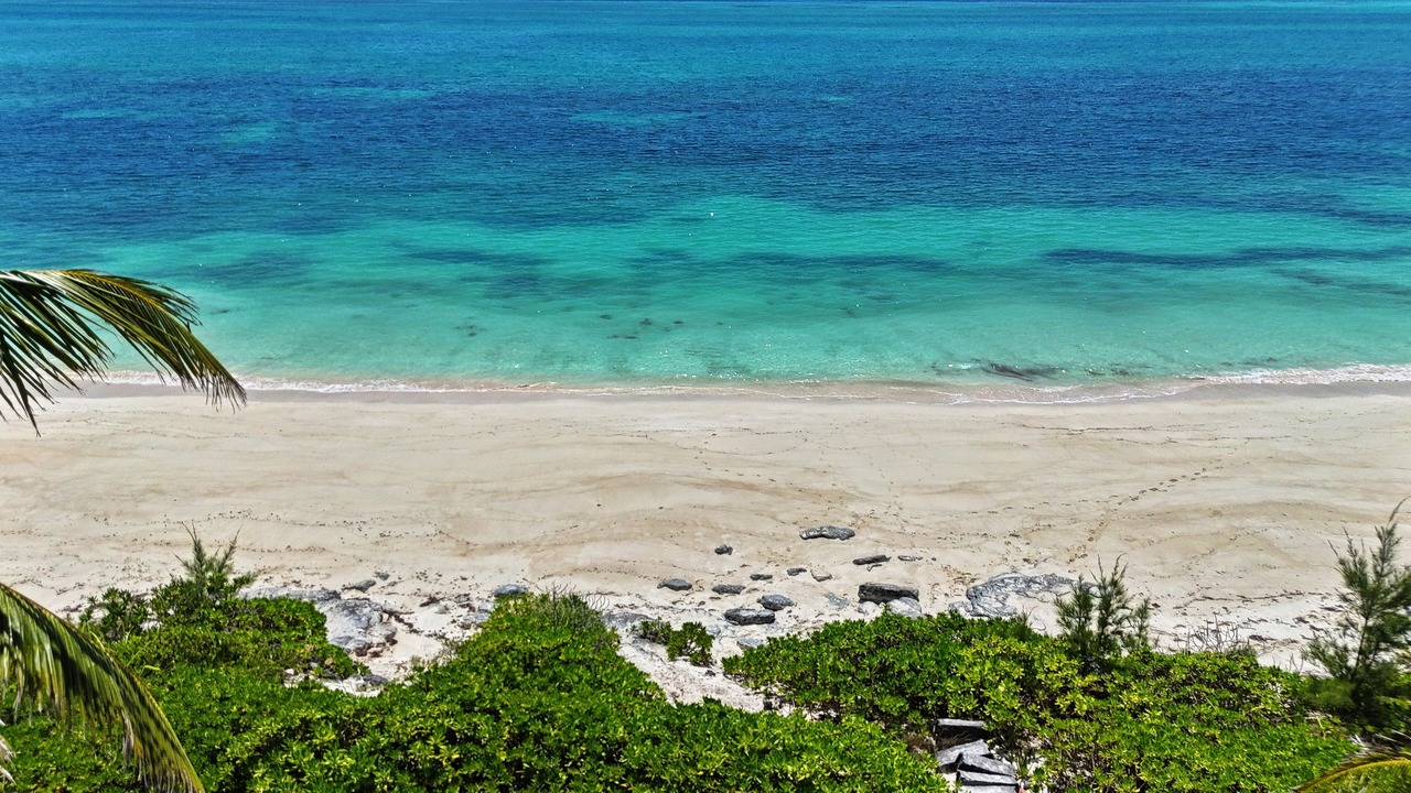 Photo of Others in Bahama Palm Shores