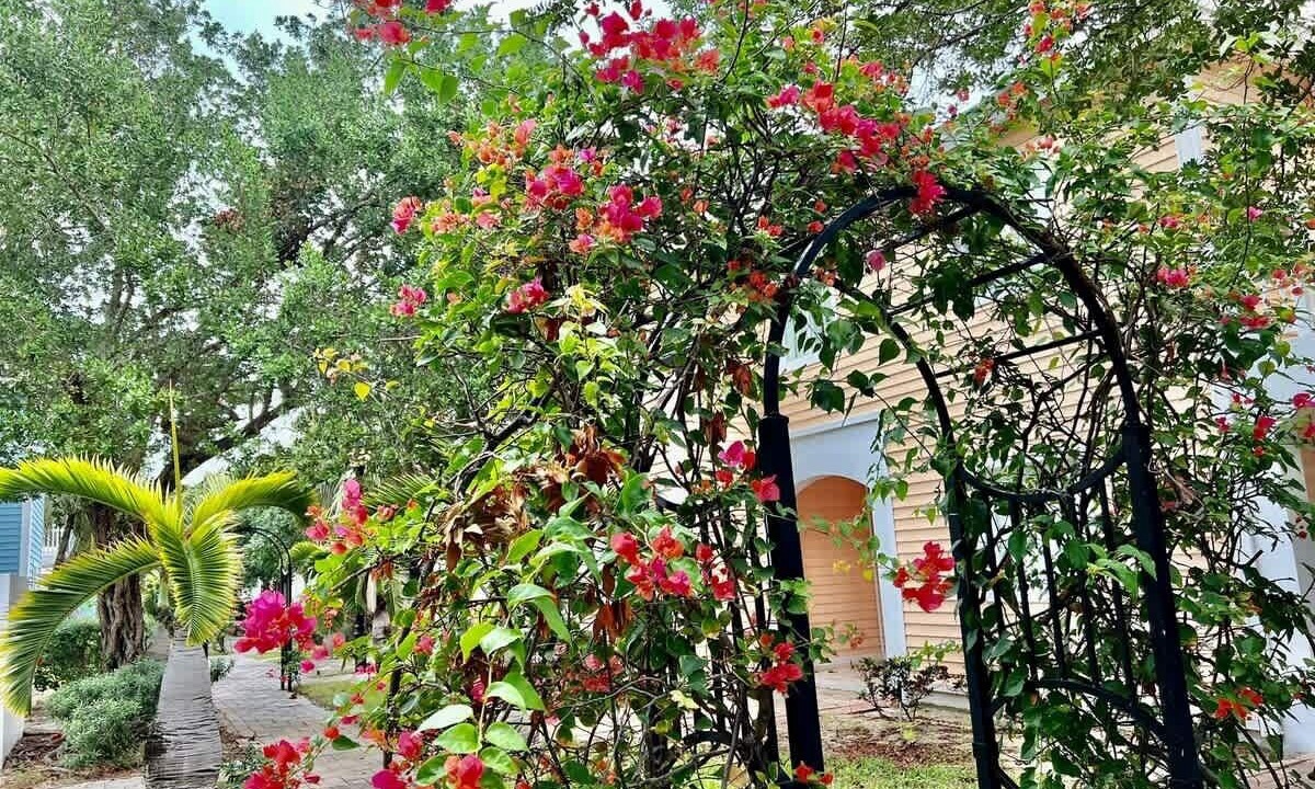 Photo of Outdoor in Bailey Town