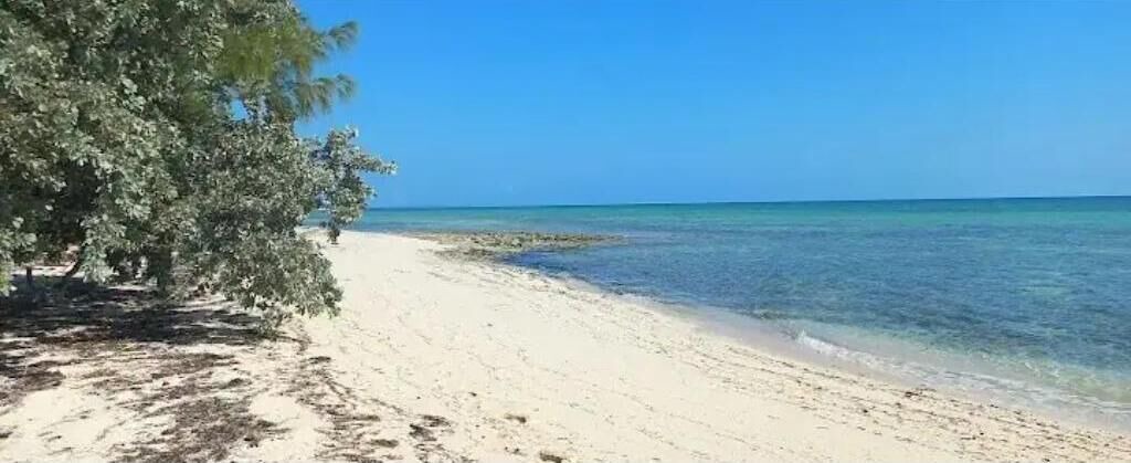 Photo of Others in Nassau