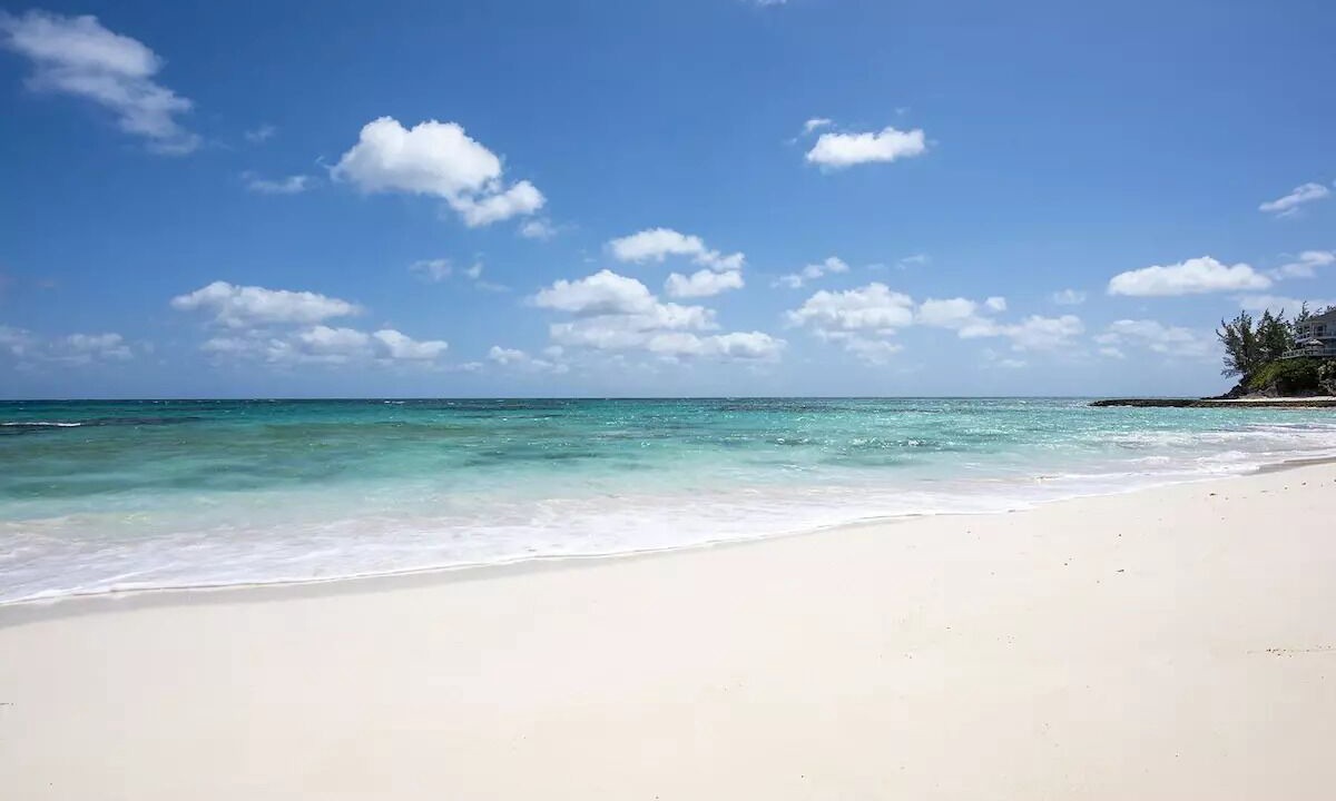 Photo of Others in North Palmetto Point