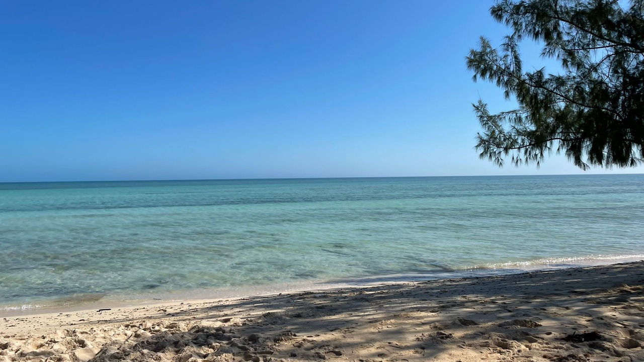 Photo of Others in Nassau