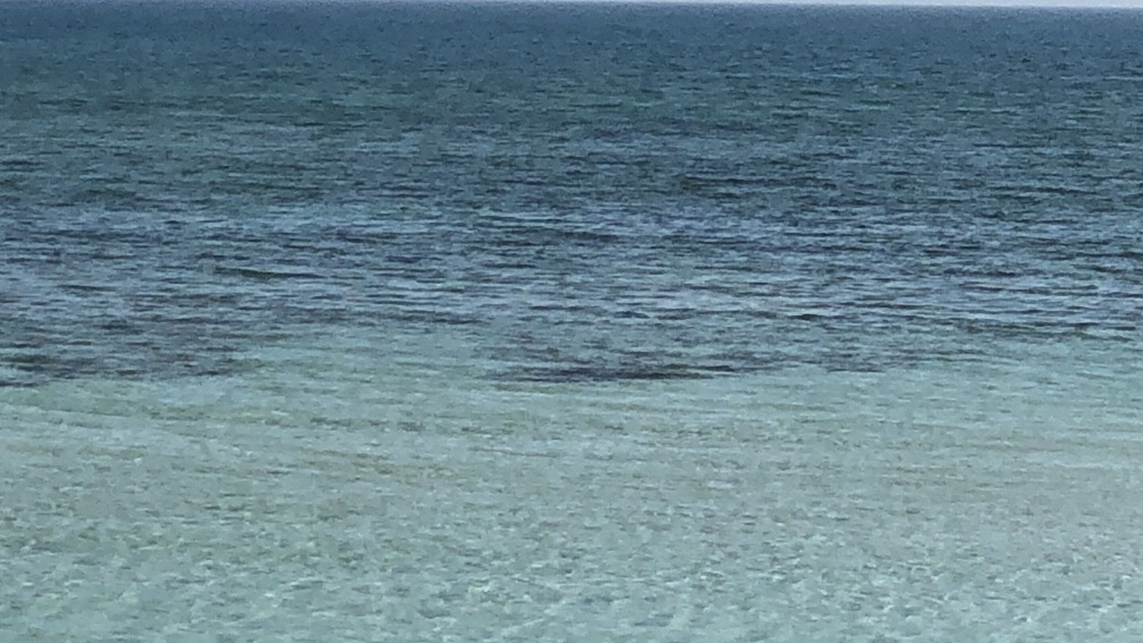 Photo of Others in Nassau