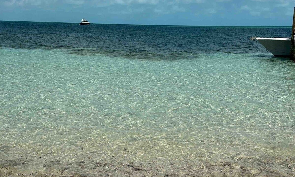 Photo of Others in North Bimini