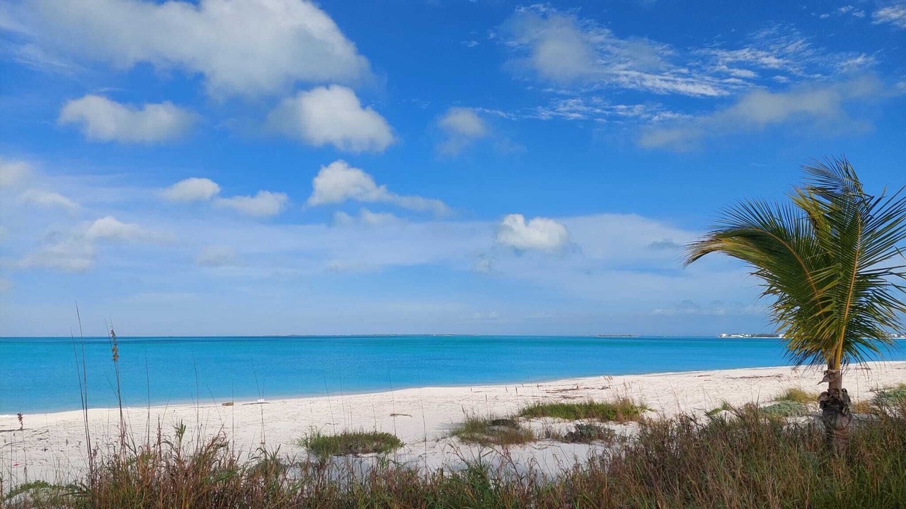Photo of Others in Treasure Cay
