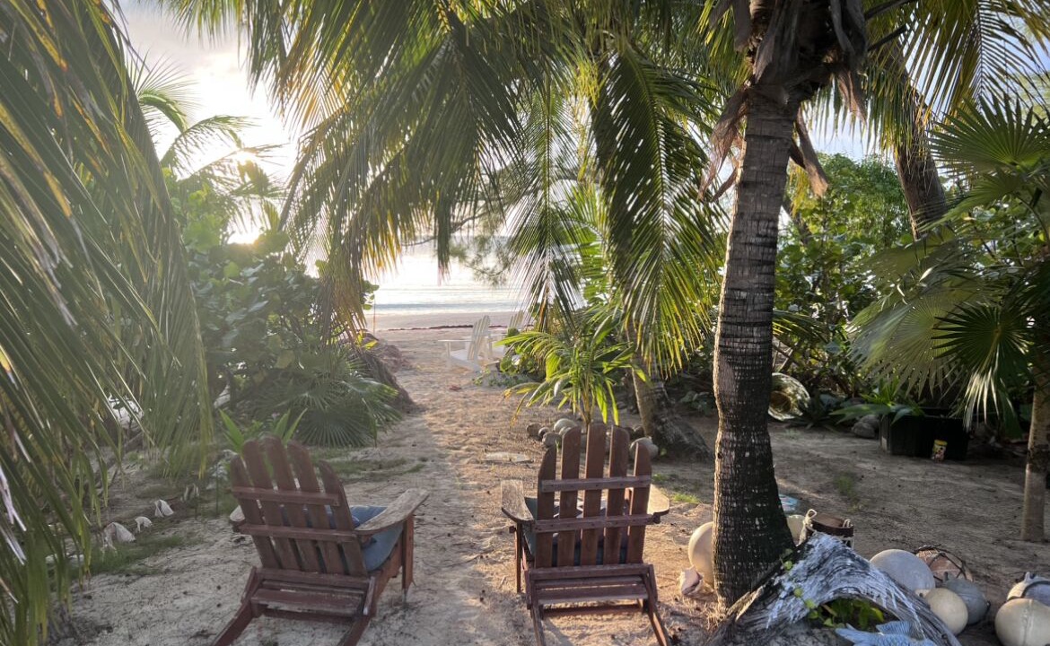 Photo of Outdoor in New Bight
