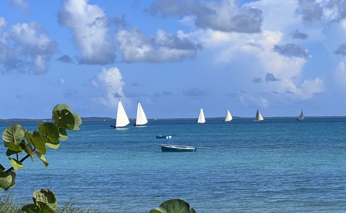 Photo of Others in New Bight