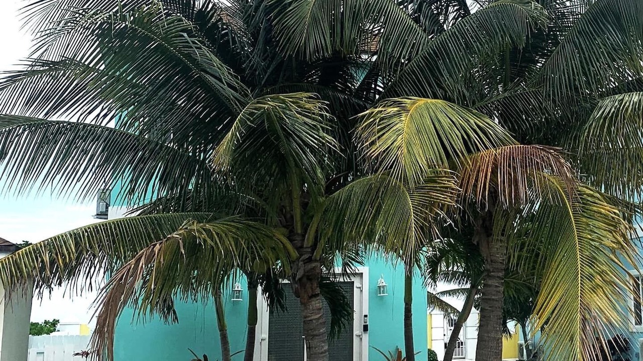 Photo of Outdoor in Eastern Road