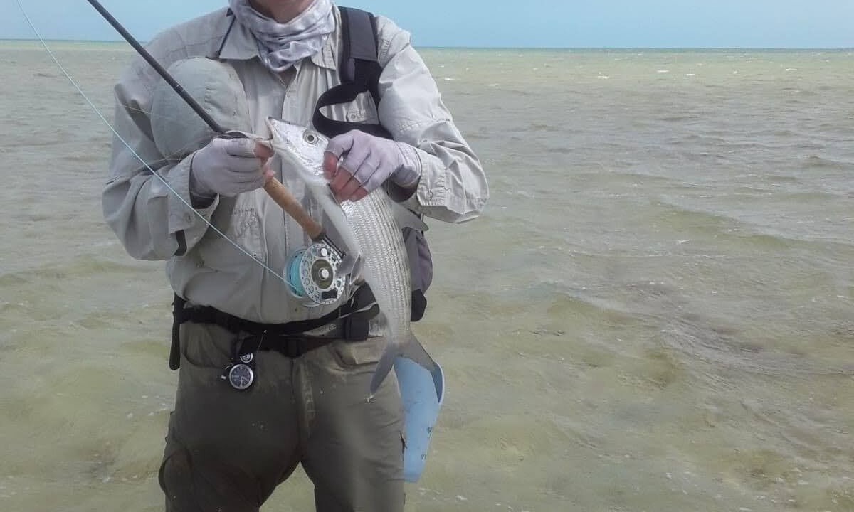 Photo of Others in Salina Point