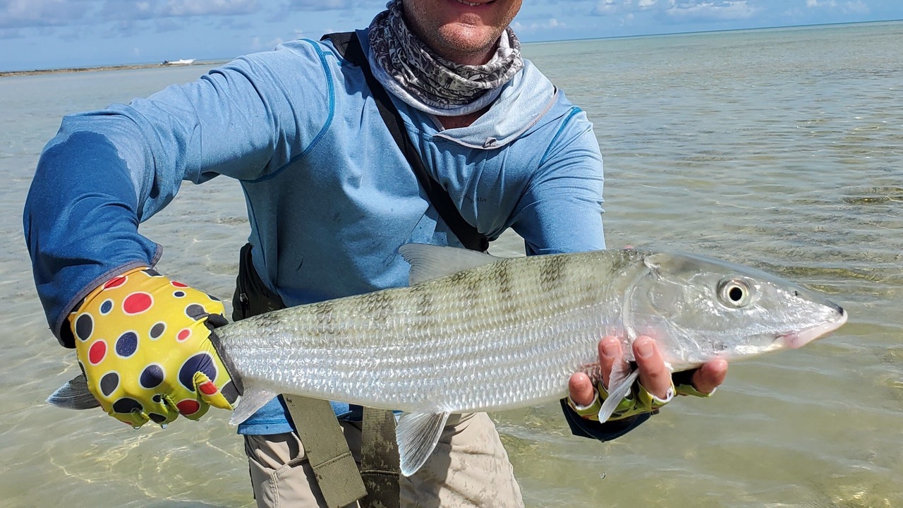 Photo of Others in Salina Point