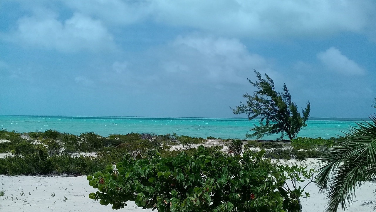 Photo of Others in Salina Point