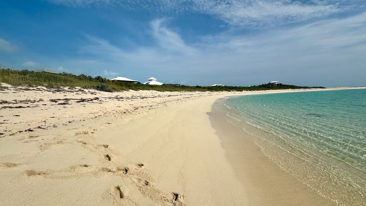 Photo of Others in Salt Pond