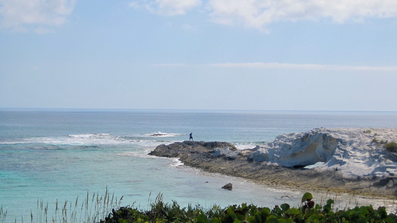 Photo of Others in Salt Pond
