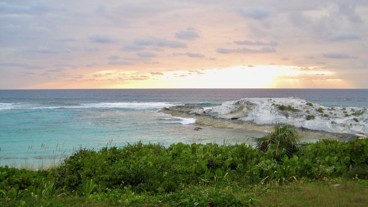 Photo of Outdoor in Salt Pond