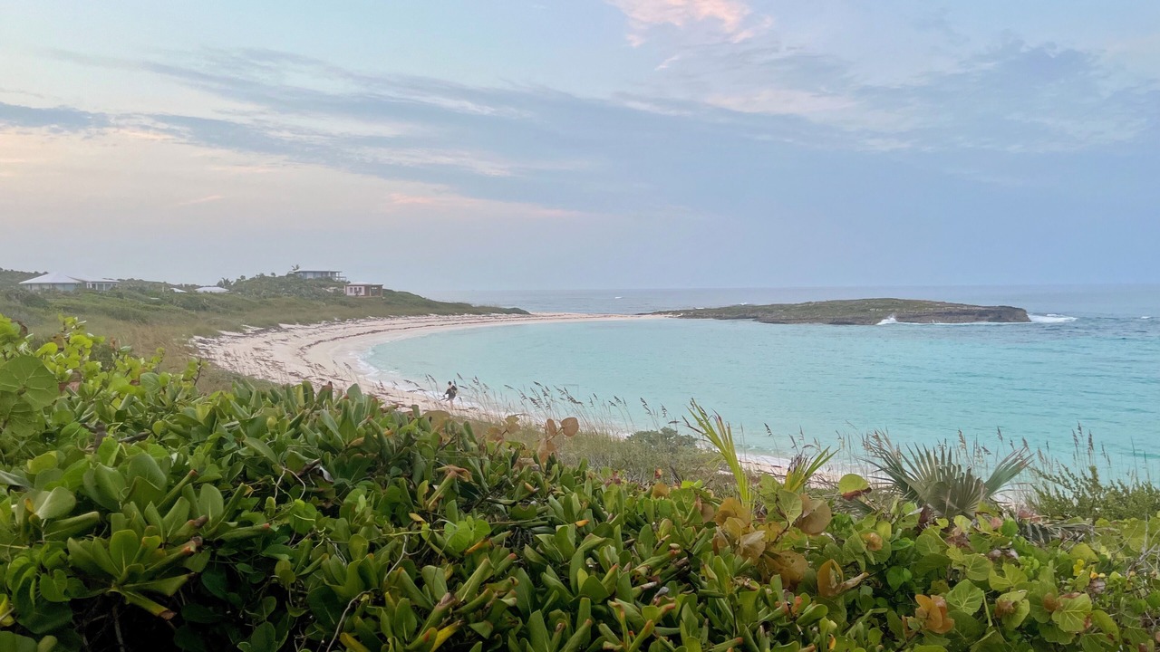 Photo of Others in Salt Pond