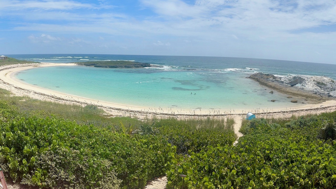 Photo of Others in Salt Pond